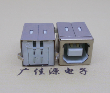 北京USB BF180度母座 打印机接口 立式直插带赛