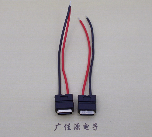北京type c2p防水母座焊线式带线注塑成型带接线端子/不带接线端子充电连接器